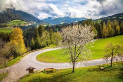<strong>Herbstaussicht</strong><br>aus der Wohnung 