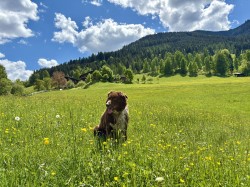 <strong>Übersicht </strong><br>der Felder des Vordersattlegghofs