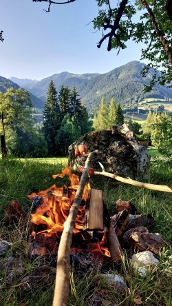 <strong>Am Fischteich</strong><br>werden Würstchen oder Forellen gefrillt