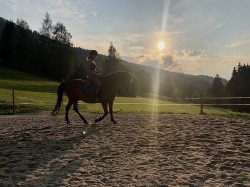 <strong>das Reiten</strong><br>auf 