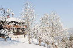<strong>Winter</strong><br>   