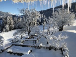<strong>Wunderschöne Aussicht</strong><br>  