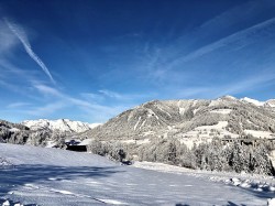 <strong>perfekte Aussicht</strong><br>   