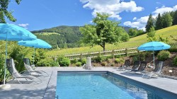 <strong>Pool</strong><br>Blick auf den Pool vom Garten aus