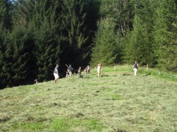 Beim Heuen