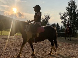 🐎 Reiten am Vordersattlegghof