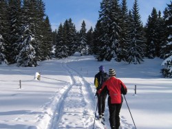 Erkunden Sie die Bergwelt