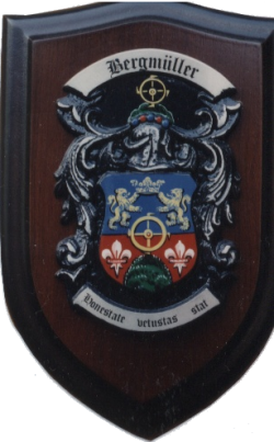 Wappen der Familie Bergmüller